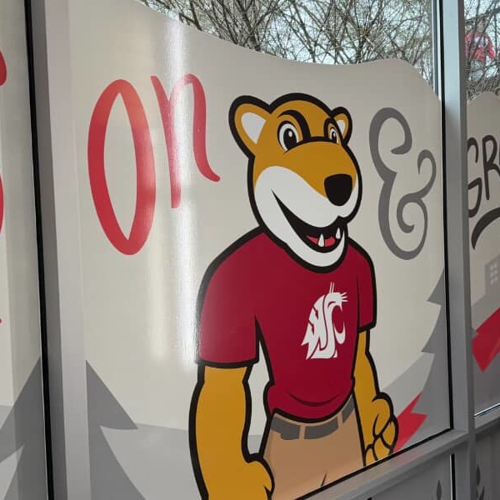 Window Graphics
